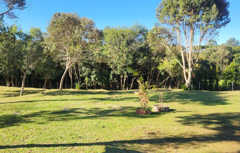 WhatsApp Image 2025-06-24 at 15.49.03 (1)